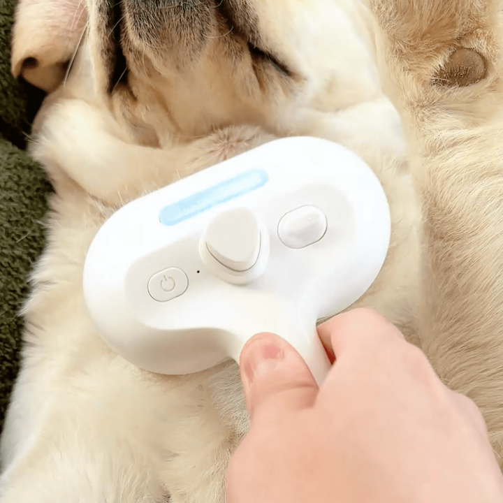 BrushPaw Dampbørste for Hunder