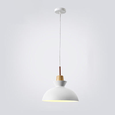 AuroraLite Nordic taklampe | Design i metall | 1 lyspunkt | Moderne fargevalg