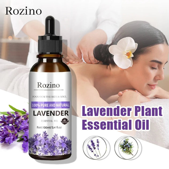 Lavendel Plante Essensolje