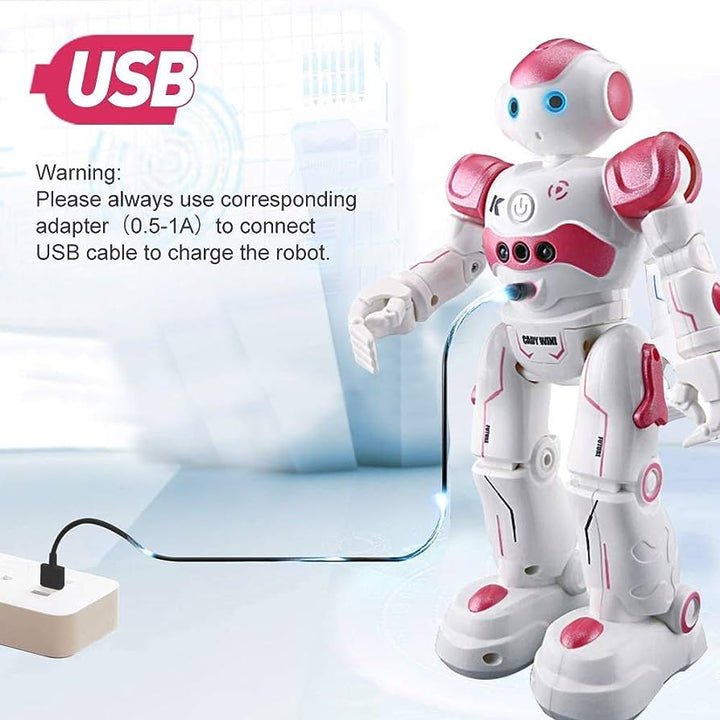 Interaktiv utdanningsrobot - NovaBot