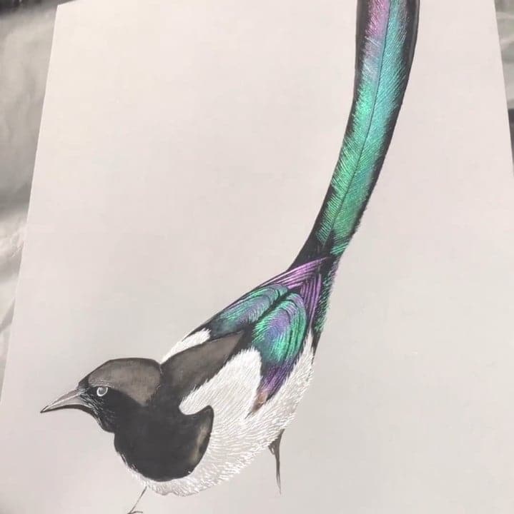 Flerfarget Akvarellmalingsett - ColorCrafter