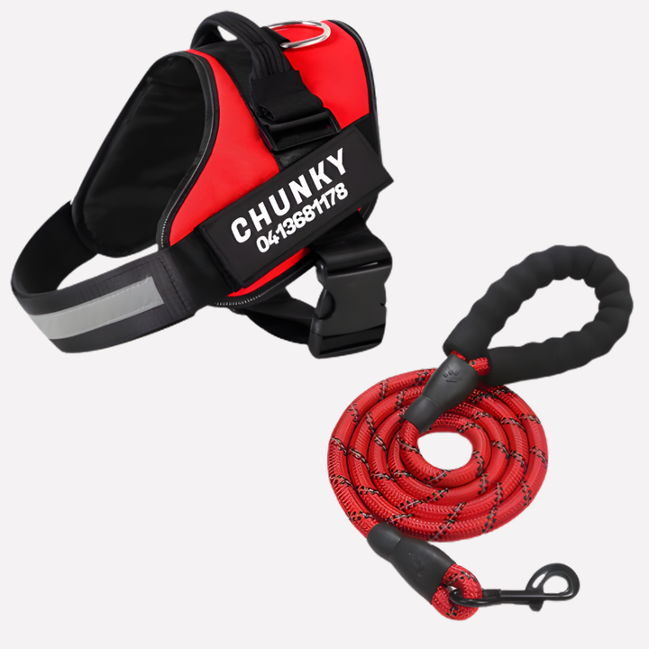 Personlig Anti‑Dra Hundesele