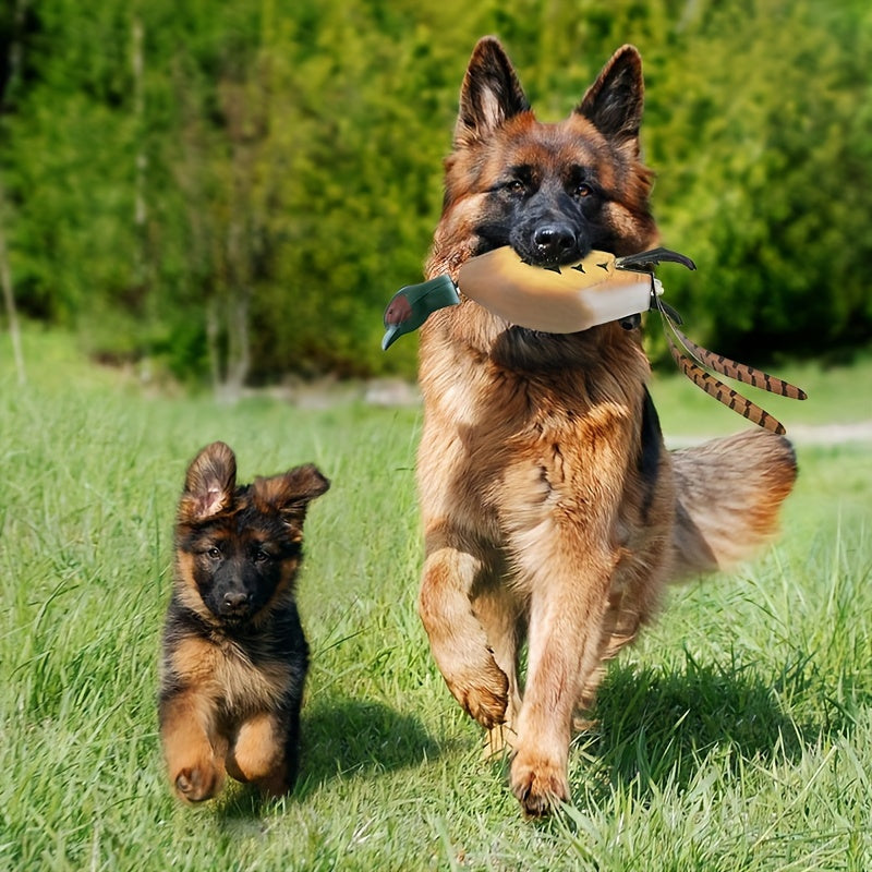 Mallard Retriever – Slitesterkt Plastleketøy for Trening i Andeform