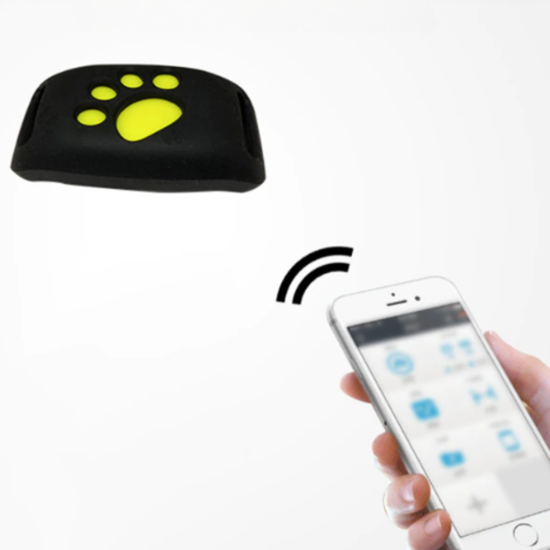 PetSafe GPS-halsbånd for kjæledyr - sanntidssporing, vanntett og uten abonnement