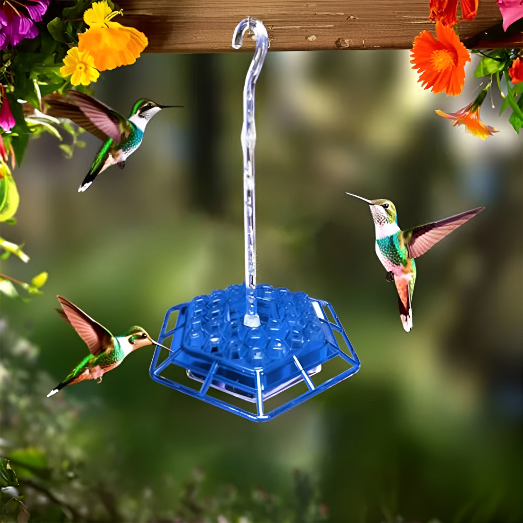 Maur Sikker Hummingbird Mater