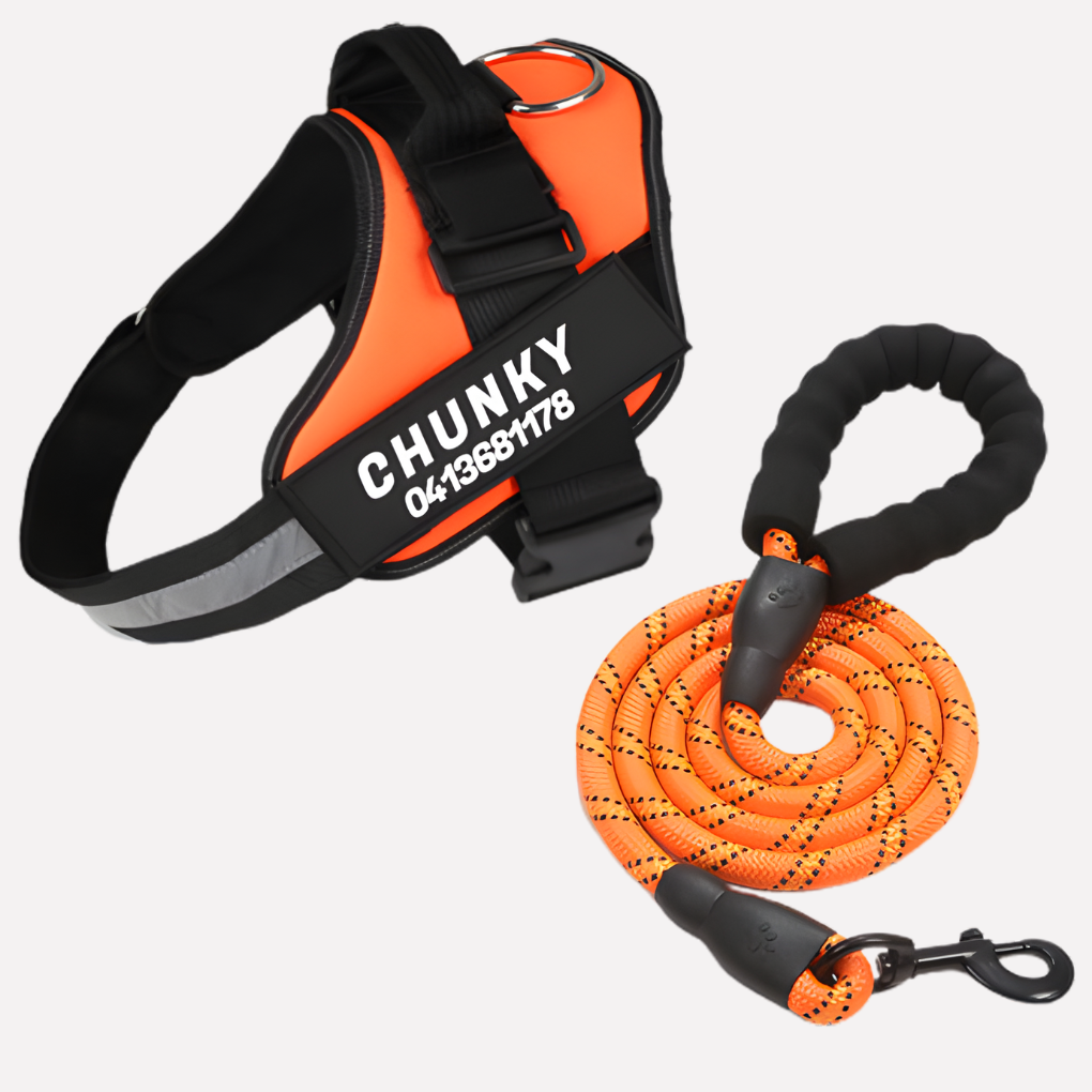 Personlig Anti‑Dra Hundesele