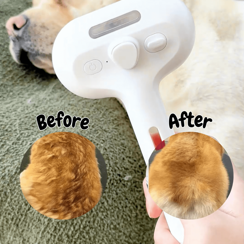 BrushPaw Dampbørste for Hunder