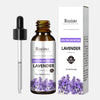 Lavendel Plante Essensolje