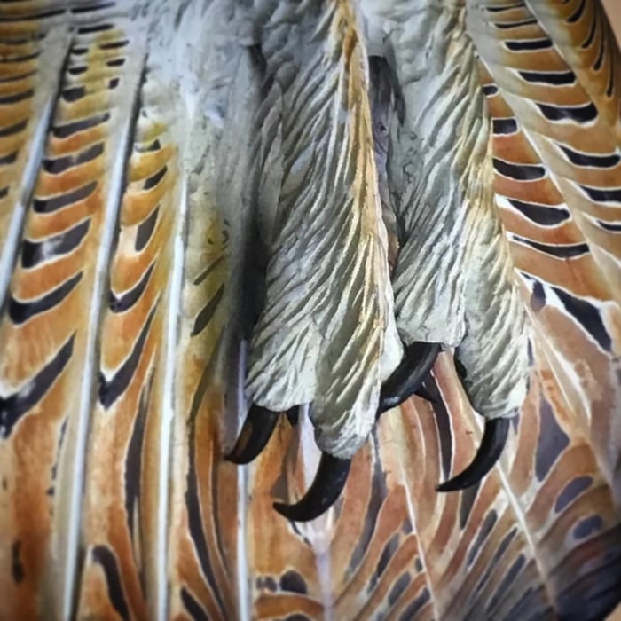 Veggdekorasjon – ugle "Majestic"
