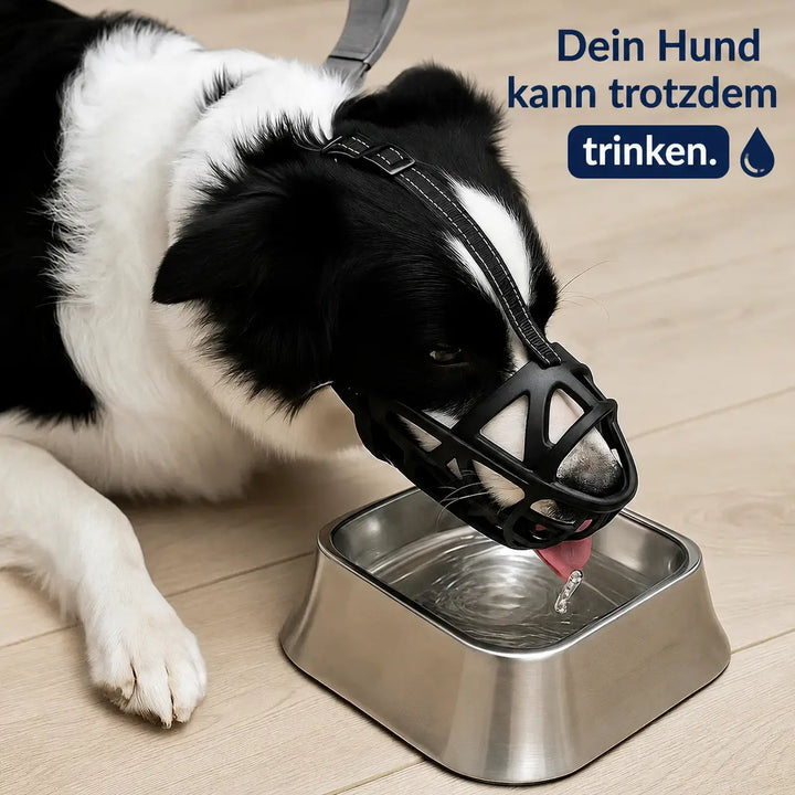 Hundemunnkurv | Pustende og justerbar for trening og daglig bruk