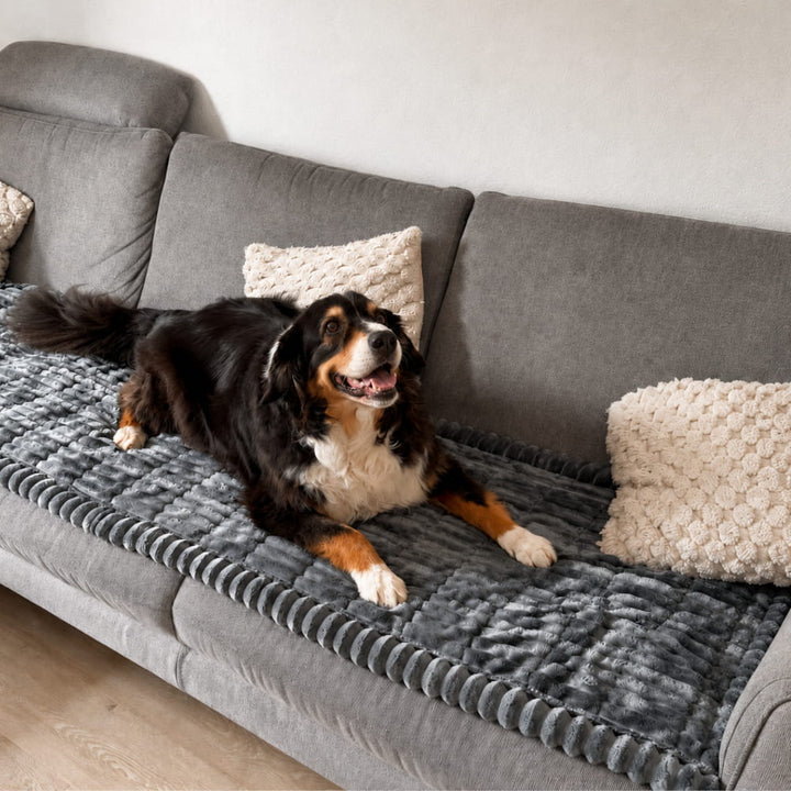 Brittany sofabeskytter — vannavvisende pledd for hunder og katter