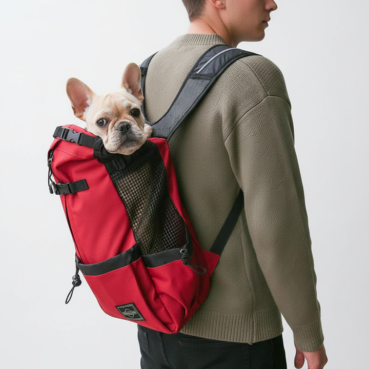 Ergonomisk bæreryggsekk for hund - CompanionPack