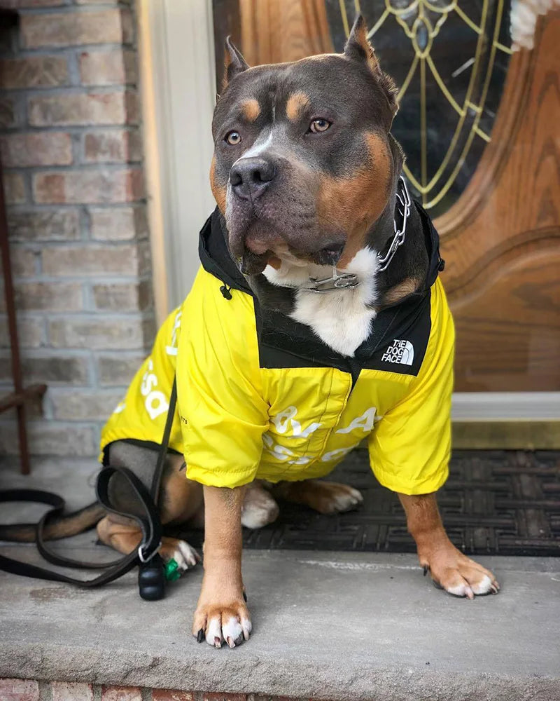 PawDry Vanntett Jakke for Hunder | Lett vindtett jakke for fransk bulldog, chihuahua og andre
