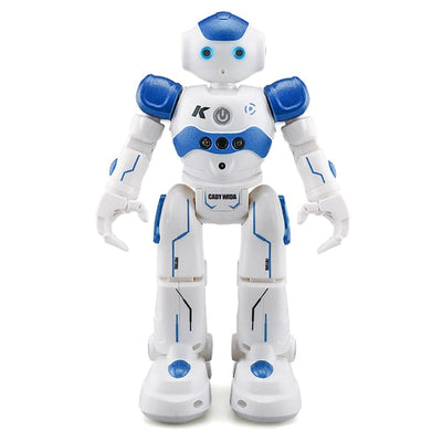 Interaktiv utdanningsrobot - NovaBot