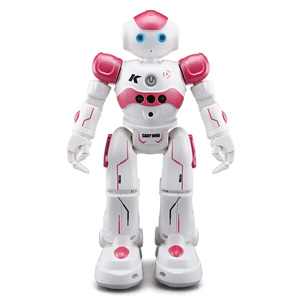 Interaktiv utdanningsrobot - NovaBot