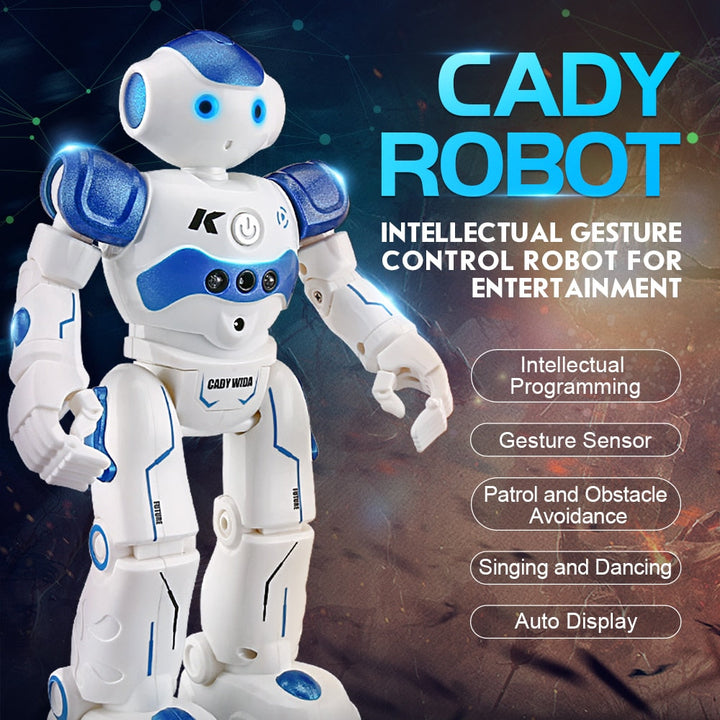 Interaktiv utdanningsrobot - NovaBot