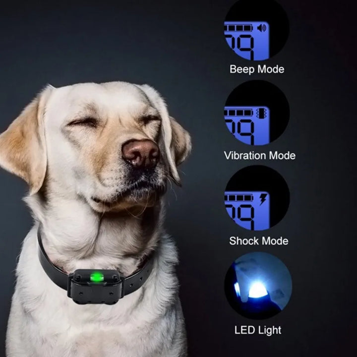 Elektrisk treningshalsbånd for hund – Sikker, effektiv fjernkontroll
