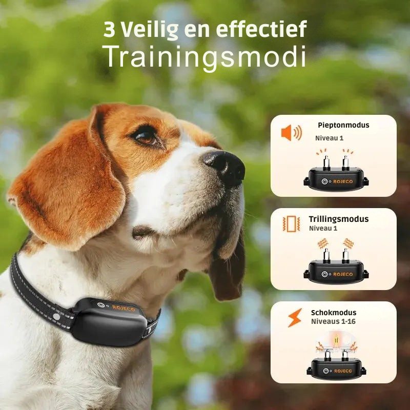 ProTrain – Oppladbart og vanntett treningshalsbånd for hund
