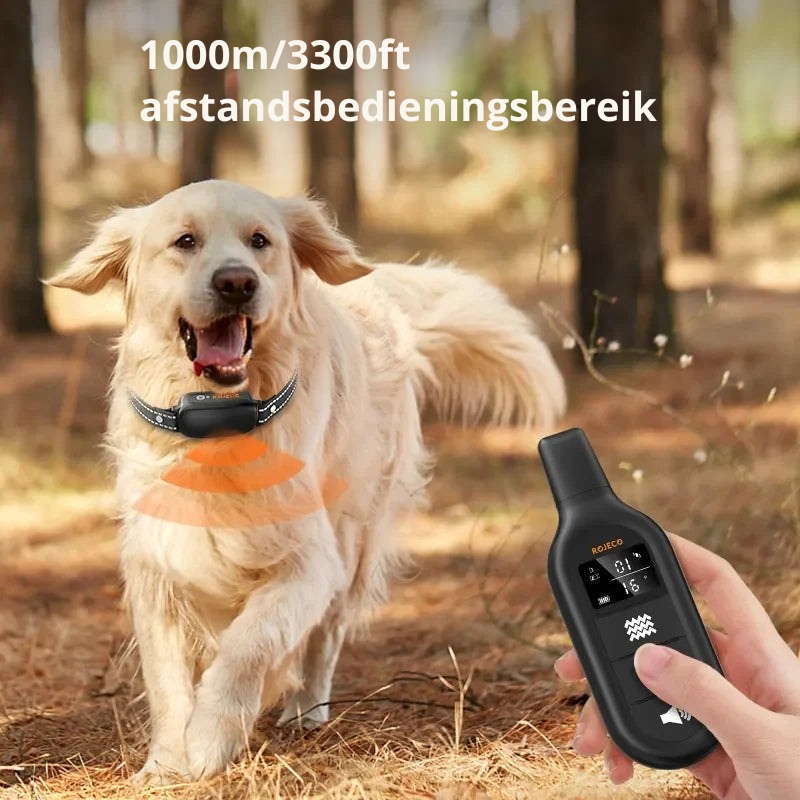 ProTrain – Oppladbart og vanntett treningshalsbånd for hund
