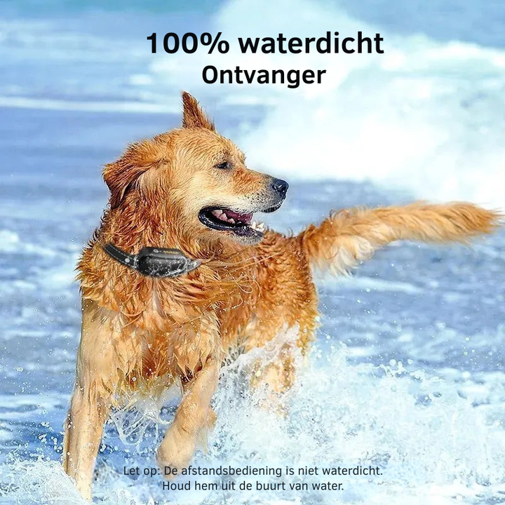 ProTrain – Oppladbart og vanntett treningshalsbånd for hund