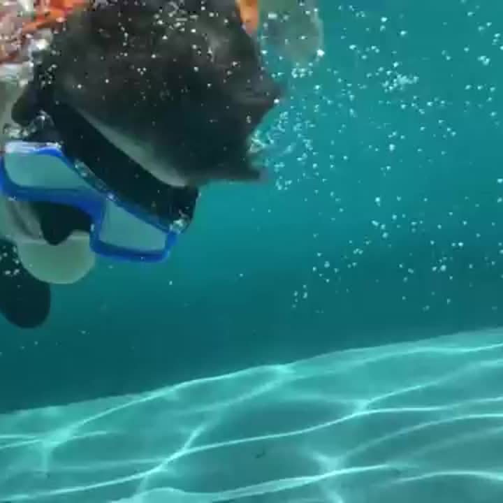 AquaClear Snorkelsett – Vanntett, Komfortabelt og med God Sikt