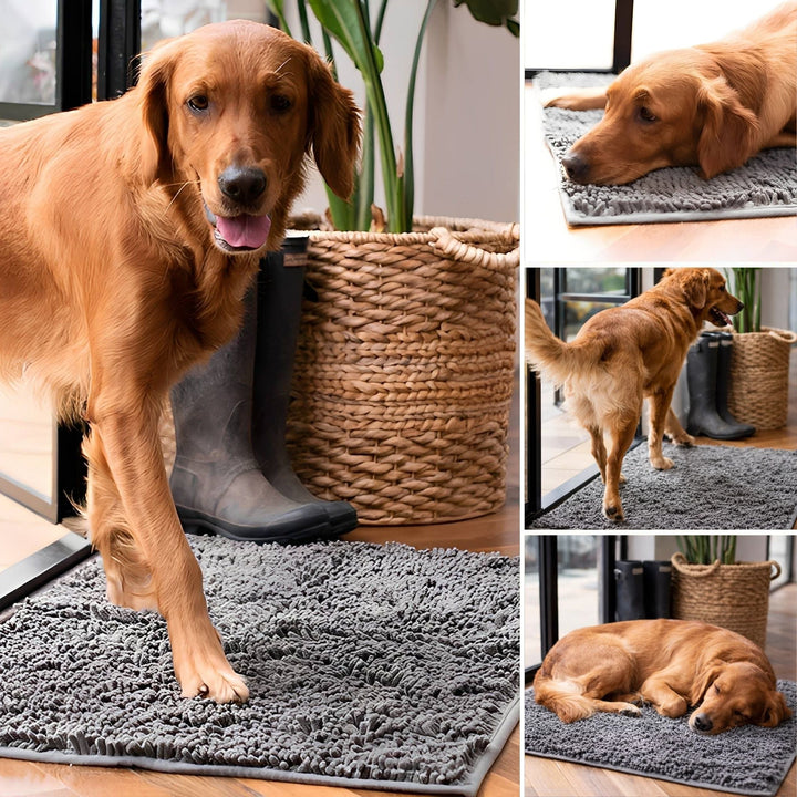 Sugende, sklisikker dørmatte for hund til skitne poter