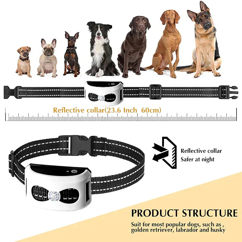 Trådløst gjerde & treningshalsbånd 2-i-1 – vanntett & oppladbart