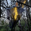 Halloween Hengende Spøkelsesskelett Rekvisitt
