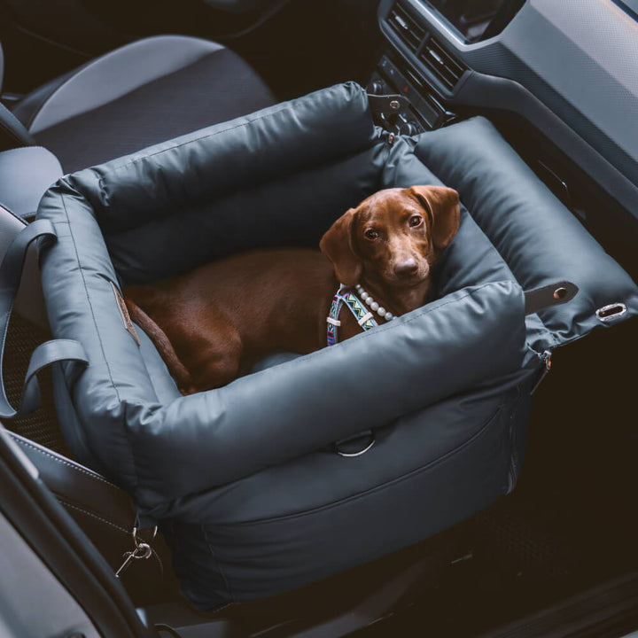 Komfortabelt vintersete for hund i bil – PawLuxury