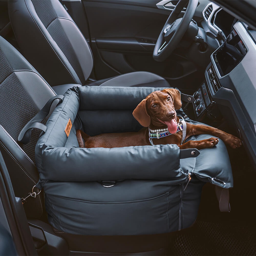 Komfortabelt vintersete for hund i bil – PawLuxury