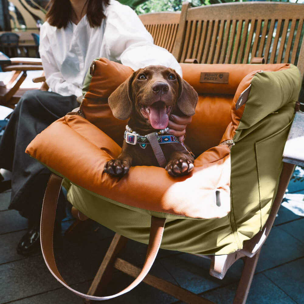 Komfortabelt vintersete for hund i bil – PawLuxury