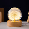 Krystallkule-lampe med evige blomster – Lumora