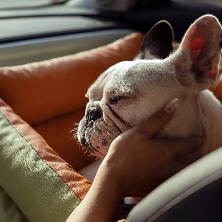 Komfortabelt vintersete for hund i bil – PawLuxury