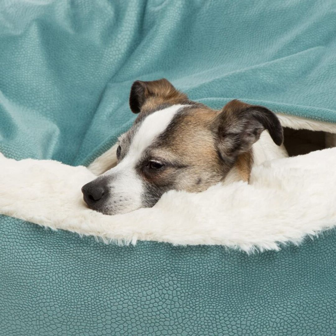 Vinterhule for hunder - SnuggleNest vinter