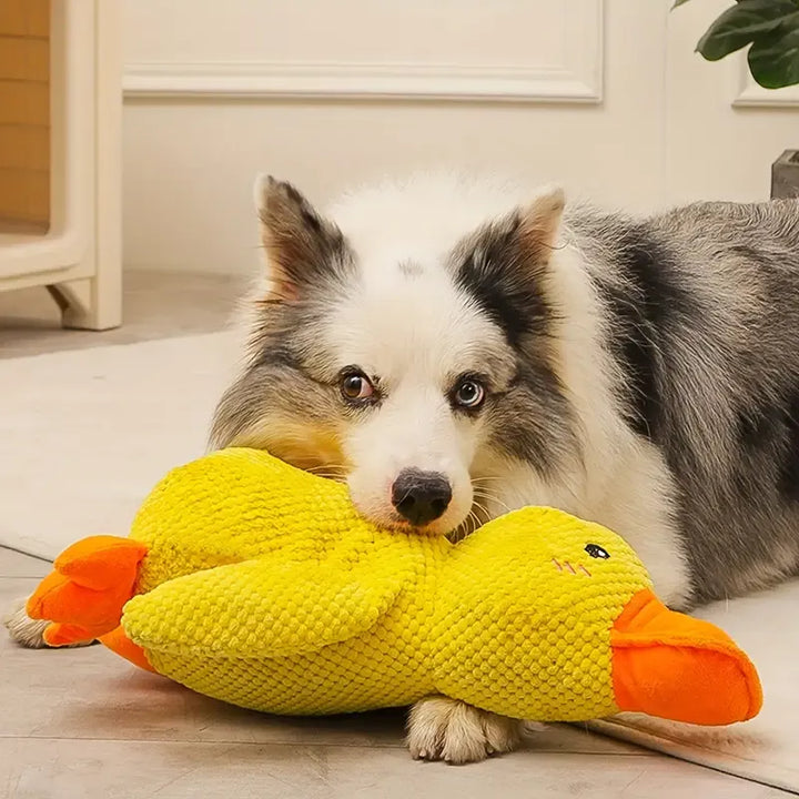 Interaktivt Hundeleke med Lyd og Tannpleie - FlappyDuck