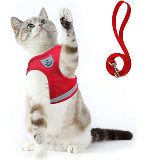 Sele til katt med bånd - Sikkerhet og komfort for eventyr
