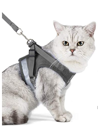 Sele til katt med bånd - Sikkerhet og komfort for eventyr