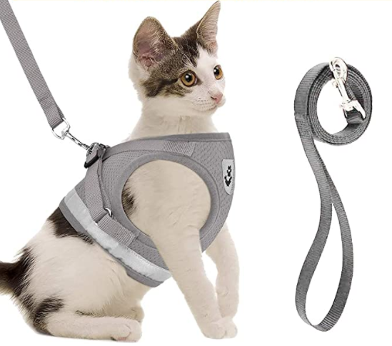 Sele til katt med bånd - Sikkerhet og komfort for eventyr