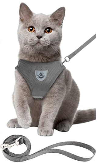 Sele til katt med bånd - Sikkerhet og komfort for eventyr