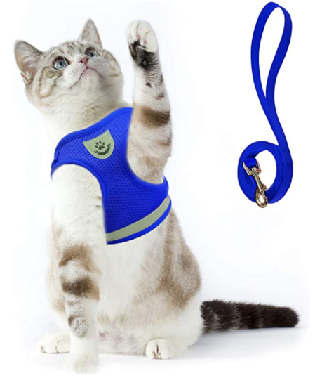 Sele til katt med bånd - Sikkerhet og komfort for eventyr
