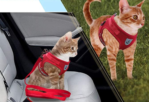 Sele til katt med bånd - Sikkerhet og komfort for eventyr
