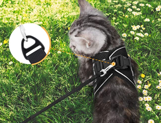 Sele til katt med bånd - Sikkerhet og komfort for eventyr
