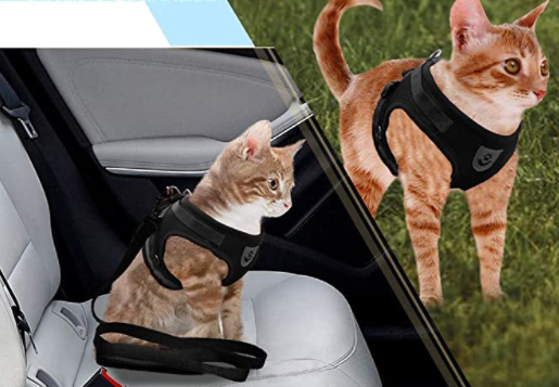 Sele til katt med bånd - Sikkerhet og komfort for eventyr