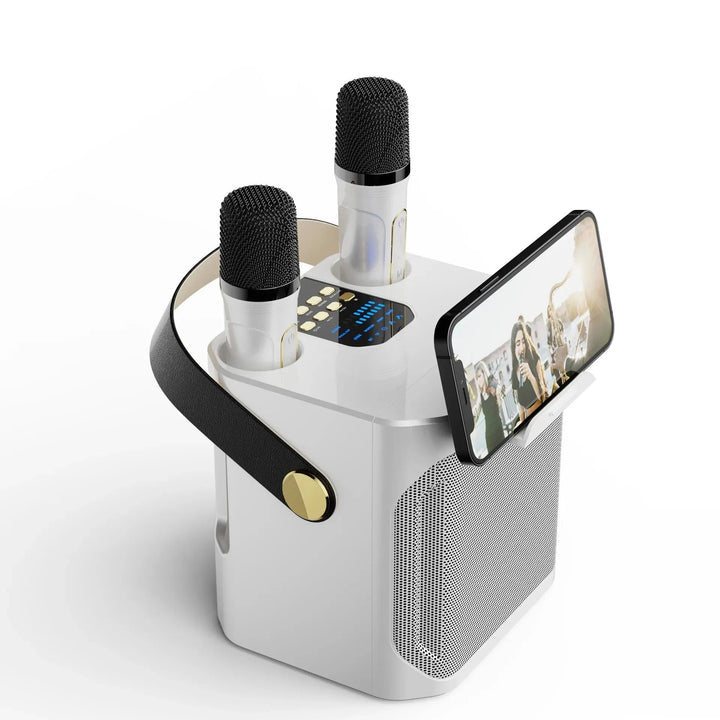 Kraftig bærbar Bluetooth-karaokehøyttaler - 360° surround