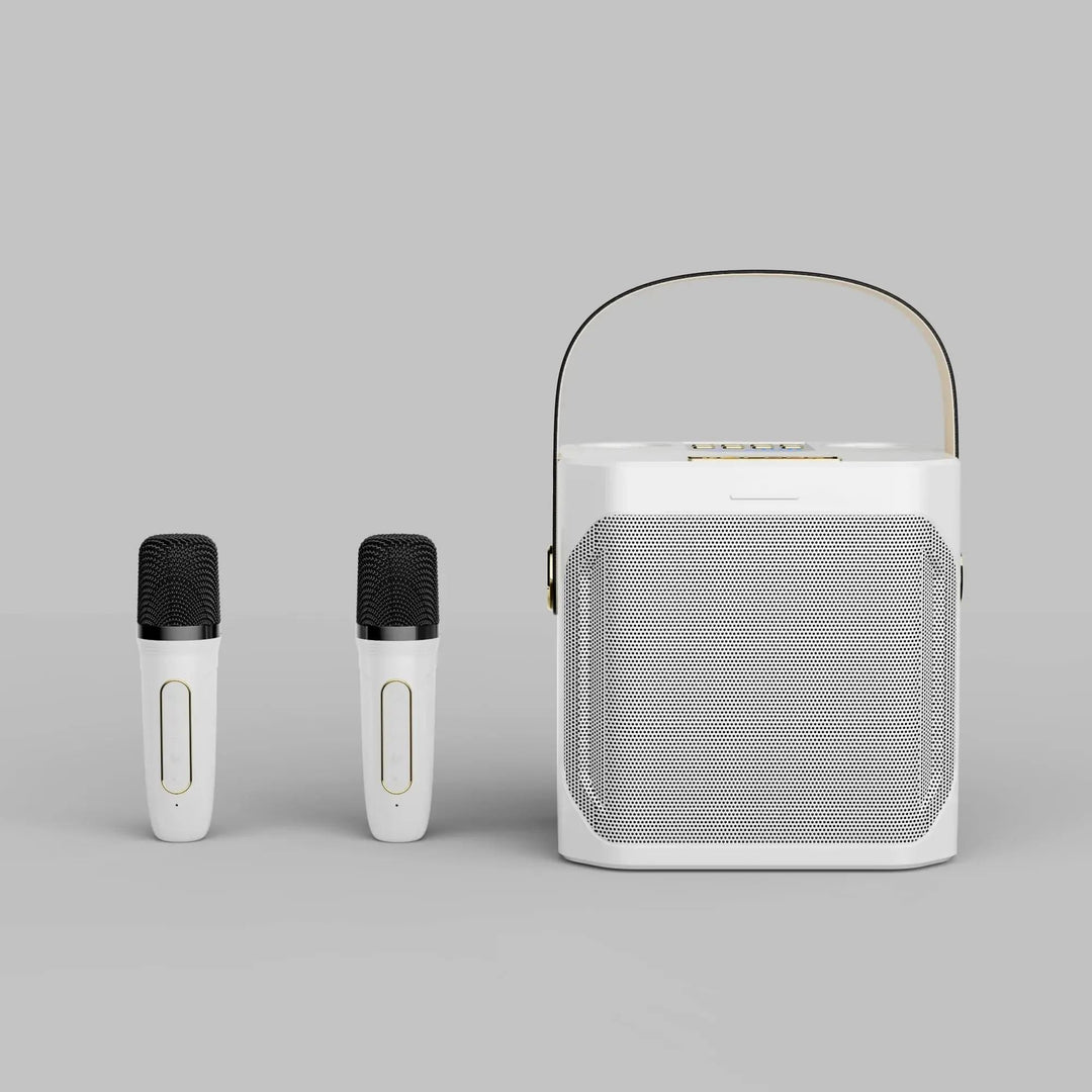 Kraftig bærbar Bluetooth-karaokehøyttaler - 360° surround