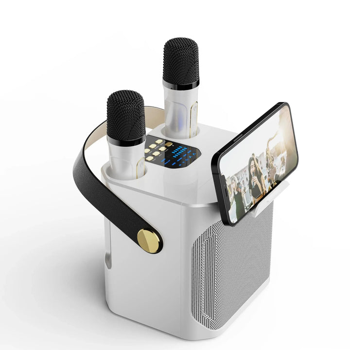 Kraftig bærbar Bluetooth-karaokehøyttaler - 360° surround