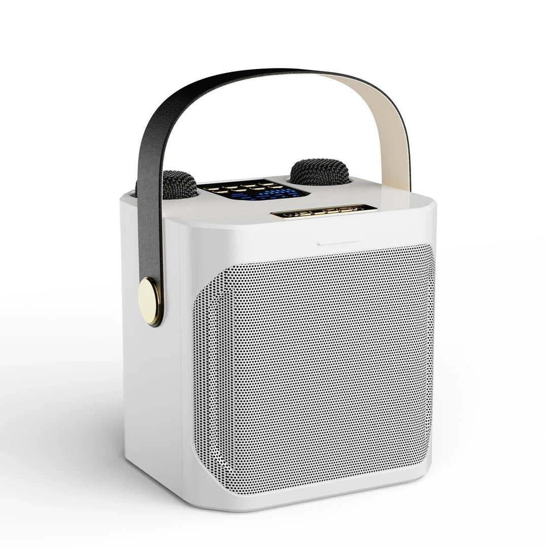 Kraftig bærbar Bluetooth-karaokehøyttaler - 360° surround