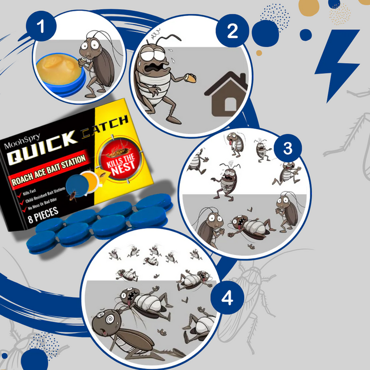 Odorfrie Kakerlakksfeller – Diskret Skadedyrkontroll Løsning