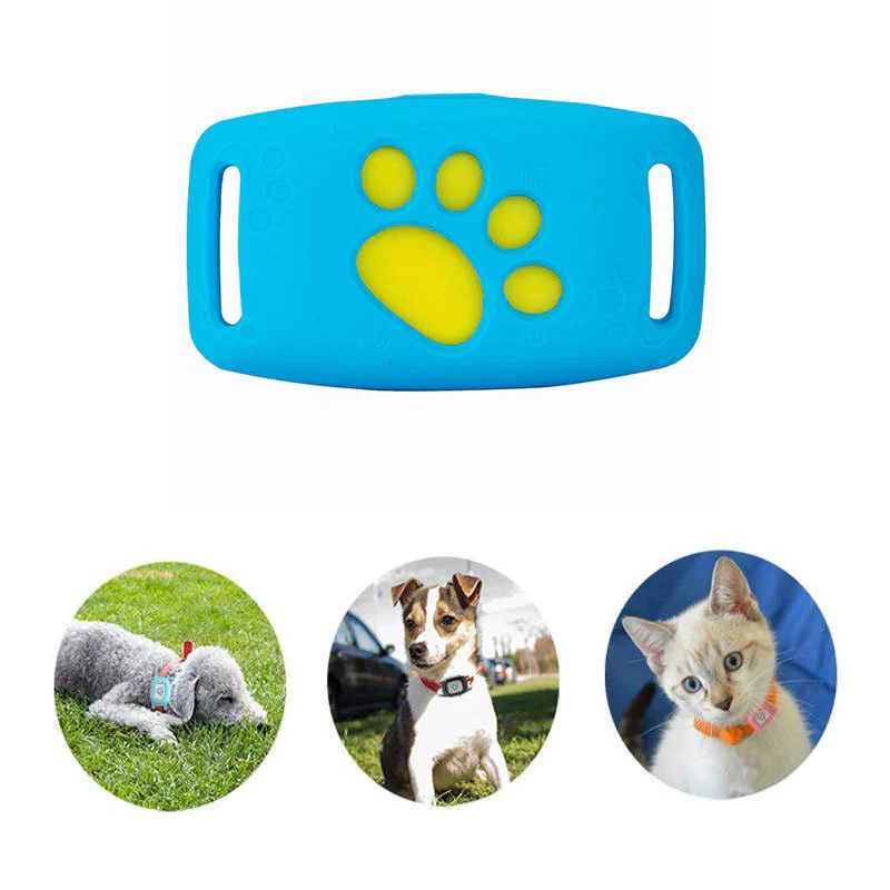 PetSafe GPS-halsbånd for kjæledyr - sanntidssporing, vanntett og uten abonnement