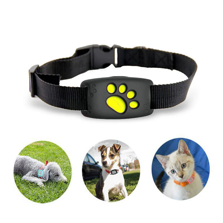 PetSafe GPS-halsbånd for kjæledyr - sanntidssporing, vanntett og uten abonnement